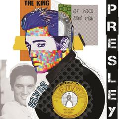 Classy Art - Elvis Presley  by Michel Keck
